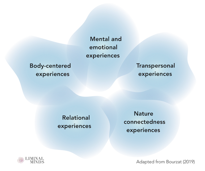 Variety of psychedelic experiences: Bodily, mental and emotional, relational, transpersonal, connection to nature experiences.